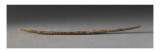 Wand Cylindrical Pointed End, Engraved on Two Sides Giclee Print