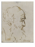 Etude d'une tête de vieil homme barbu, la tête voilée ; Etude d'une tête de reproduction procédé giclée par Guerchin Le
