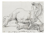 Album : cheval hennissant ; cheval cabré ; cheval allongé ; crâne de cheval Lámina giclée por Jacques-Louis David Album : cheval hennissant ; cheval cabré ; cheval allongé ; crâne de cheval Lámina giclée por Jacques-Louis David