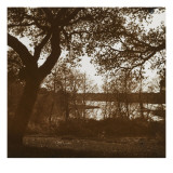 Paysage boisé Reproduction procédé giclée