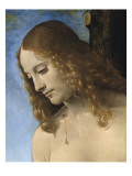 La Vierge à l'Enfant et les Saints Jean-Baptiste et Sébastien entre 2 donateurs. Dite "Vierge de Giclée-Druck von Giovanni Antonio Boltraffio