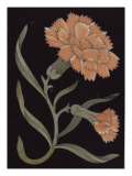 Cabinet en ébène de Louis XVI pour le musée du Louvre, vers 1765 - 1770 par Joseph Baumhauer Giclee-trykk av Joseph Baumhauer