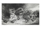 Jeune tigre jouant avec sa mère, lithographie 1er état reproduction procédé giclée par Eugene Delacroix