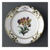 Service du mariage de Louise Alluaud et A. Malveigne : assiette avec, au centre, une branche Lámina giclée Service du mariage de Louise Alluaud et A. Malveigne : assiette avec, au centre, une branche Lámina giclée