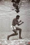 Ali - Underwater Billeder