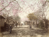 Nodge Hill in Yokohama (Japan) Photographic Print by Kusakabe Kimbei