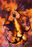 Firestorm Posters