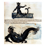 Gesner, Manuscript "Historiae Animalium", Book Ii: "Quadrupedipus Oviparis" Giclee Print by Conrad Gesner