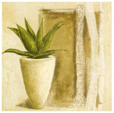 Aloe Art by Véronique Didier-Laurent