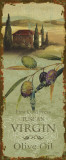 Tuscan Delight IV Print by Lisa Audit