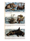 Gesner, Manuscrit "Historiae Animalium", Book Ii: "Quadrupedipus Oviparis" Giclee Print by Conrad Gesner