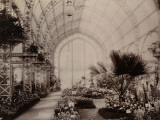 Paris, 1900 World Exhibition, The Huge Greenhouse of the City of Paris Photographie
