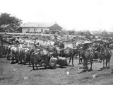 China, Caravan in Mugtzi Lámina fotográfica