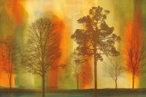 Coucher de soleil I Affiches par Chris Donovan