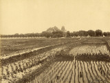 Ricefield and Summer Palace in the Background (China) Lámina fotográfica