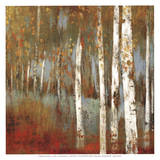 Along the Path I Posters by Allison Pearce
