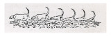 Jules Verne, Illustration from "Ten hours in hunting" Giclée-Druck von Jules Verne