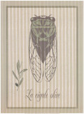 Cigale Olive Pósters Cigale Olive Pósters