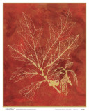 Golden Oak I Art by Sarah E. Chilton