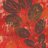 Exotic Vine Posters van Erin Clark