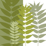 Garden Greens Poster van Erin Clark