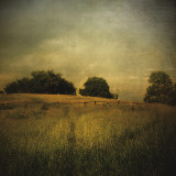 Another Place II Poster par Crina Prida