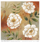 Siena White Petite II Poster by Michael King