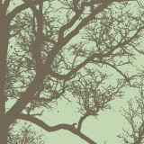 Winter Tree IV Posters by Erin Clark