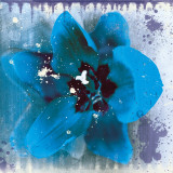 Tulip Fresco (blue) Kunstdrucke von Erin Clark