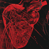 Human Heart, c.1979 (red with veins) Print van Andy Warhol Human Heart, c.1979 (red with veins) Print van Andy Warhol