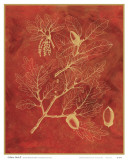 Golden Oak II Posters by Sarah E. Chilton