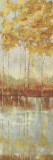 Reflections I Prints by Allison Pearce