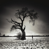 Conversation Prints by Marcin Stawiarz