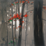 Autumn Embers Prints by Steven Garrett