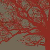 Cinnamon Tree III Poster by Erin Clark