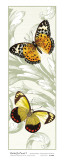 Butterfly Panel I Prints by Susan Davies
