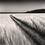 Oceanside Field Prints by Andrew Ren