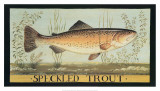 Speckled Trout Poster by Dominique Perotin
