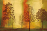 Coucher de soleil II Posters par Chris Donovan