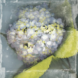 Antique Bloom Posters par Erin Clark