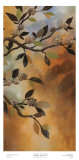 Copper Sunset II Prints by Irene Paschal