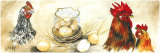 Coqs et Oeufs Print by Clauva 