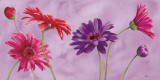 Estate in Fiore Poster by Maria Grazia Luffarelli