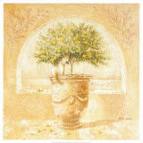 Citronnier Prints by Pascal Cessou