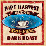 Gold Star Coffee I Poster by Tara Gamel