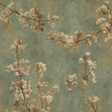 Morning Blossom I Prints by John Seba