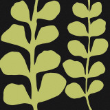 Green Fern on Black Posters by Denise Duplock