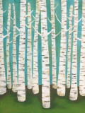 Summer Birches Reprodukcje autor Lisa Congdon Summer Birches Reprodukcje autor Lisa Congdon