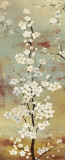 Blossom Canopy II Prints by Asia Jensen