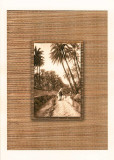 Tropical I Posters